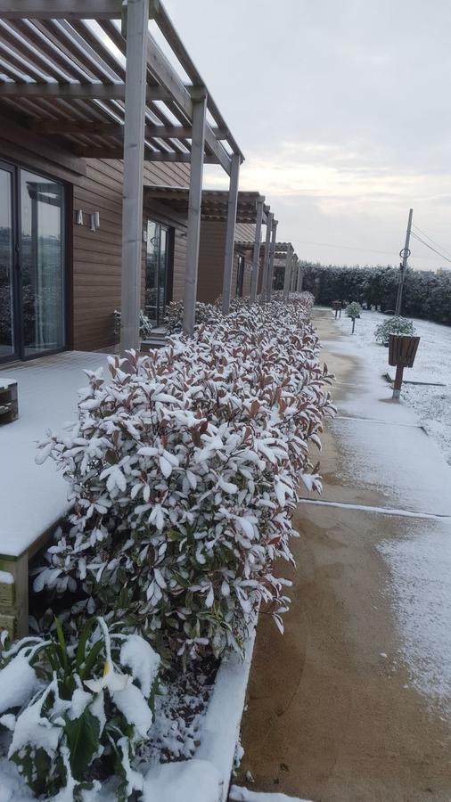 Bungalows Elma ซวนเซส ภายนอก รูปภาพ